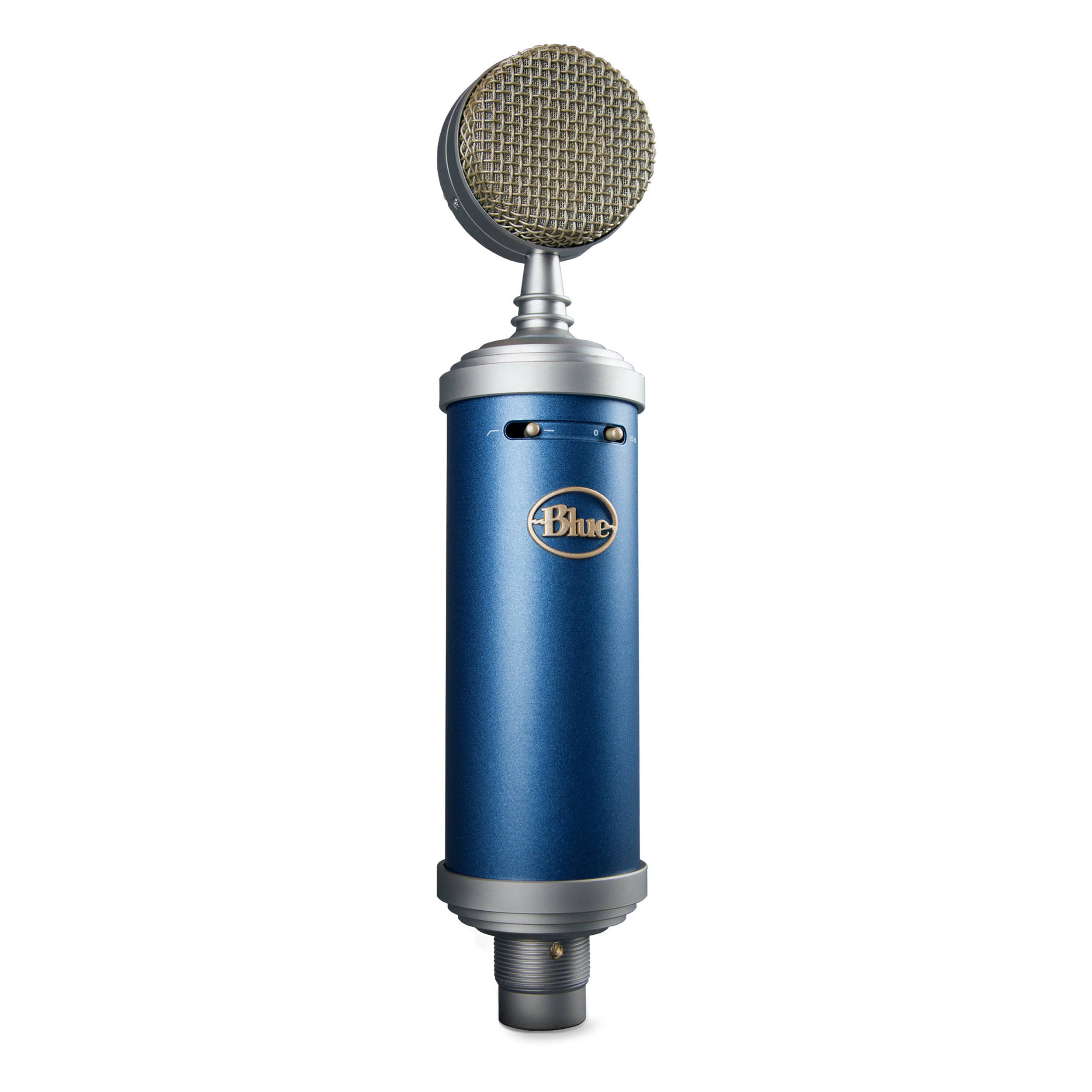 Blue Microphones Blueberry Cardioid Condenser Microphone