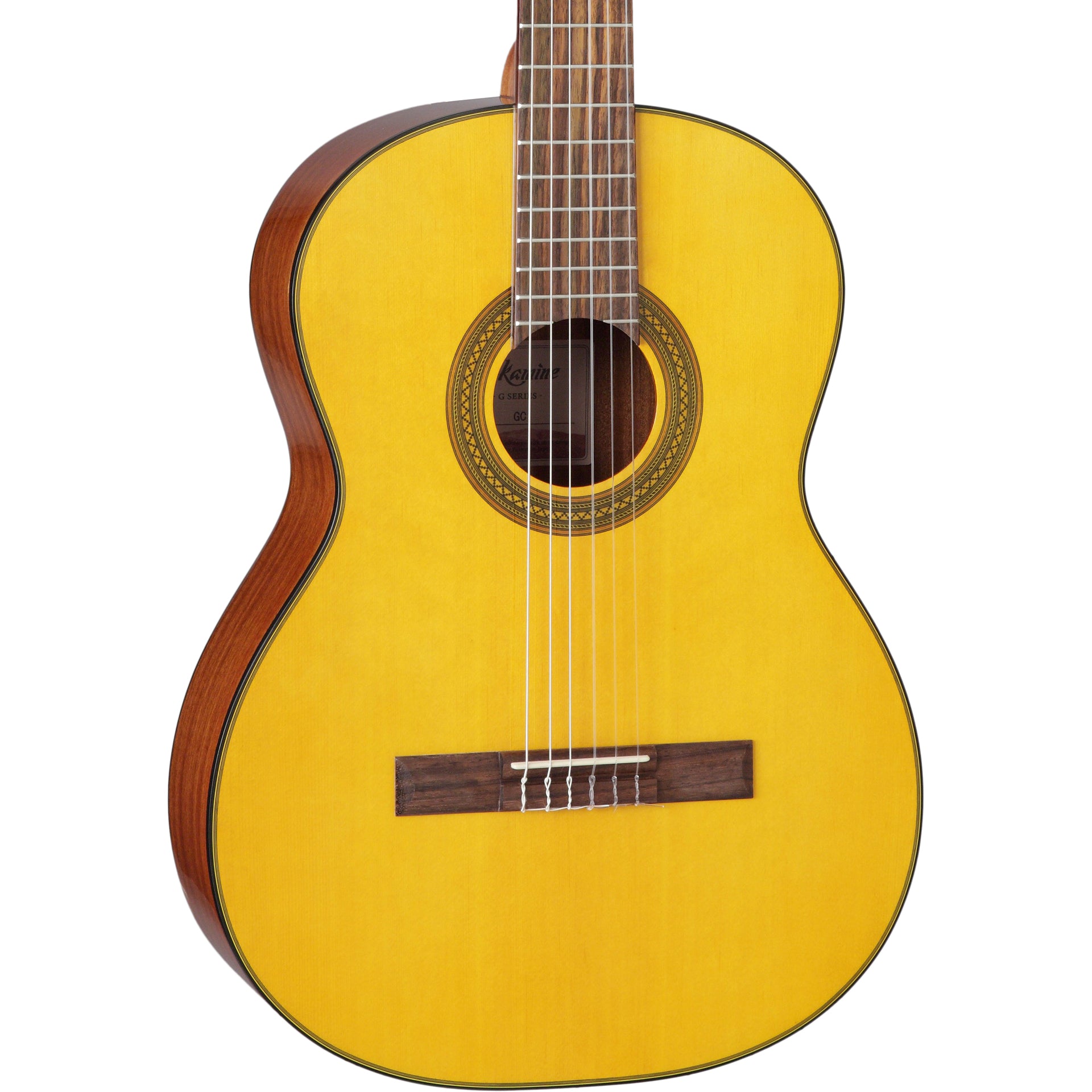 Takamine Guitars :: G-Series Guitars