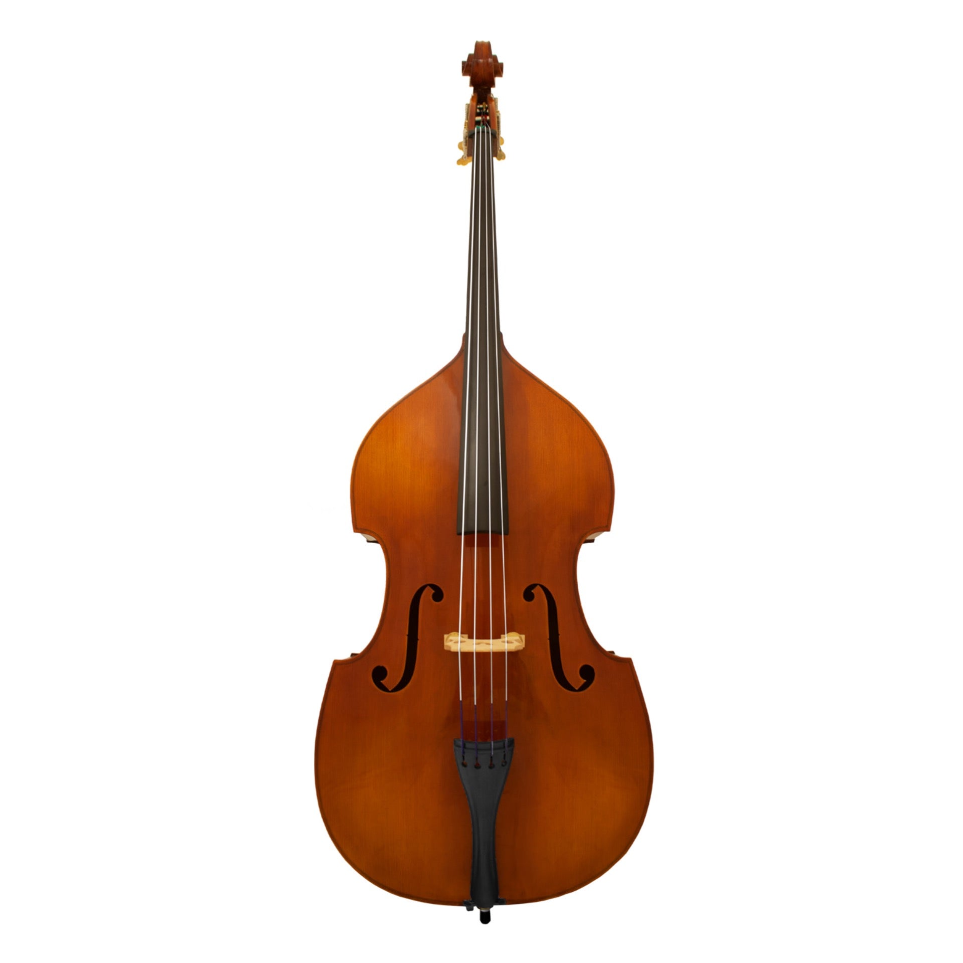 Maple Leaf Strings Model 110 3/4 Bass Outfit – Alto Music