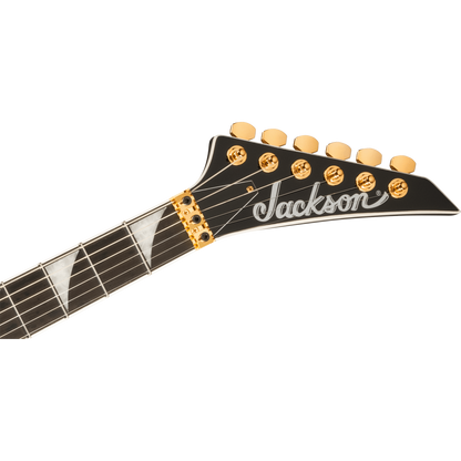 Jackson Concept Series Ltd. Edition Rhoads RR24 FR H Electric Guitar, Black White Pinstripes