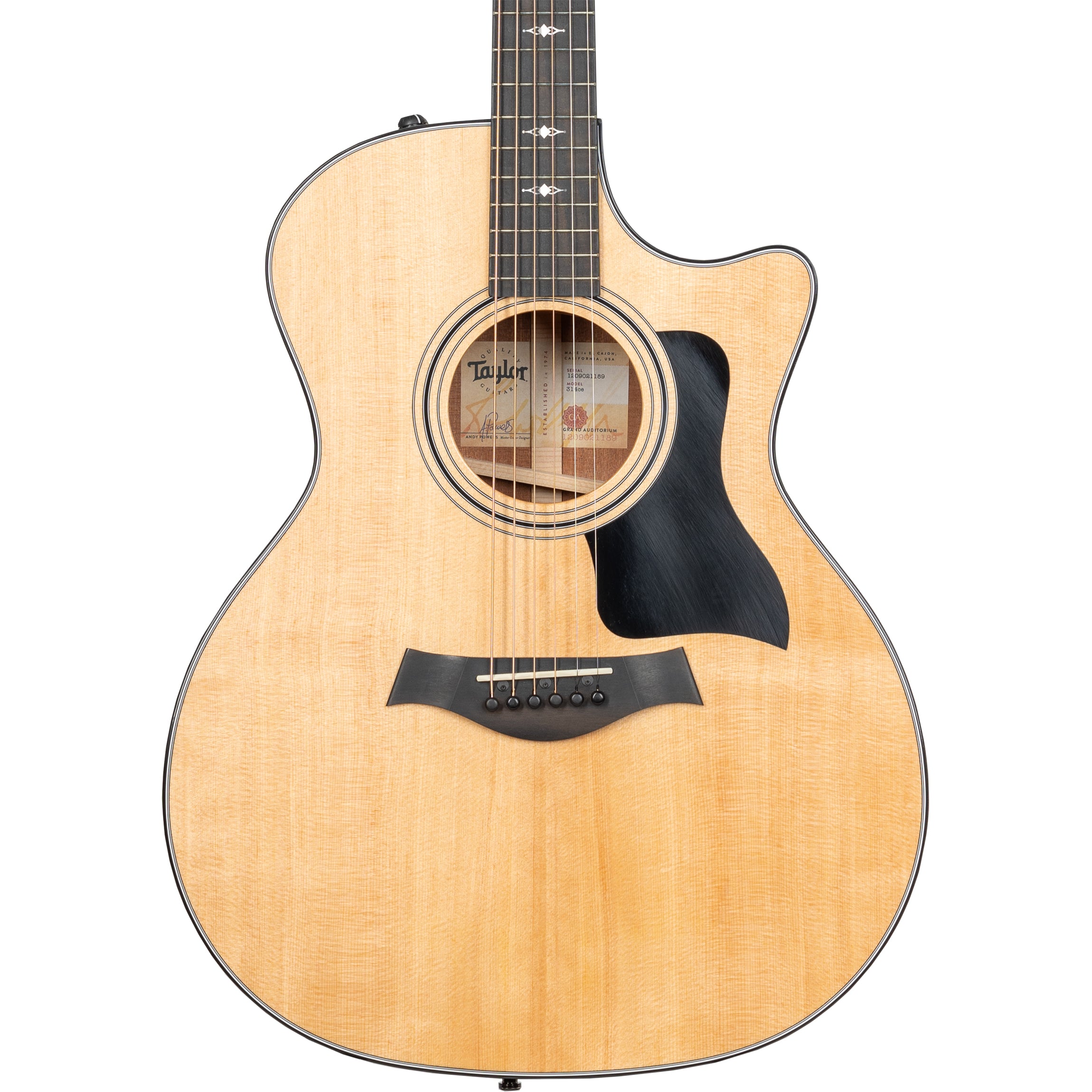 Taylor 314ce Acoustic Electric Guitar – Alto Music