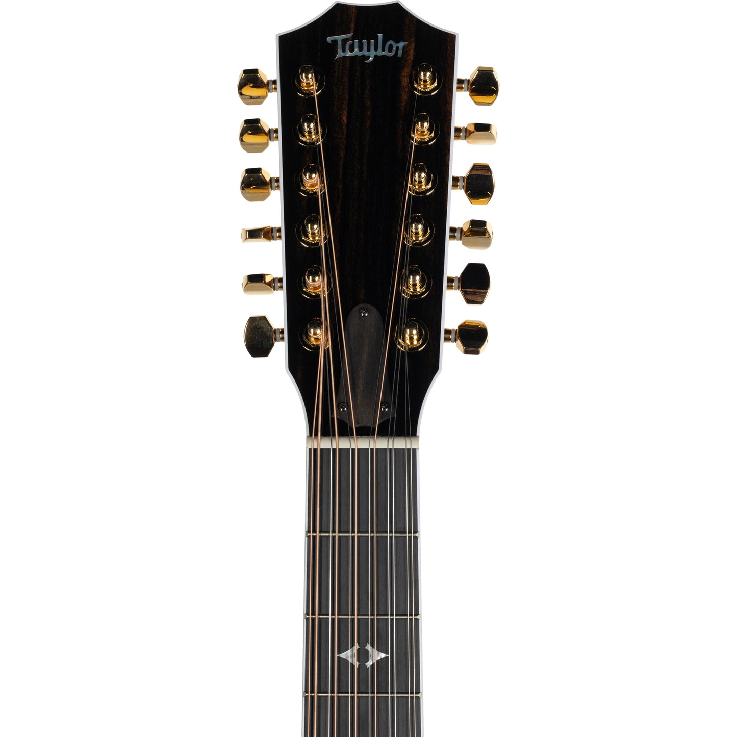 Taylor 858E Limited Edition 50th Anniversary 12-String Acoustic Electric Guitar