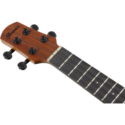 Ibanez AUC10EOPN Concert Acoustic Electric Ukulele, Open Pore Natural