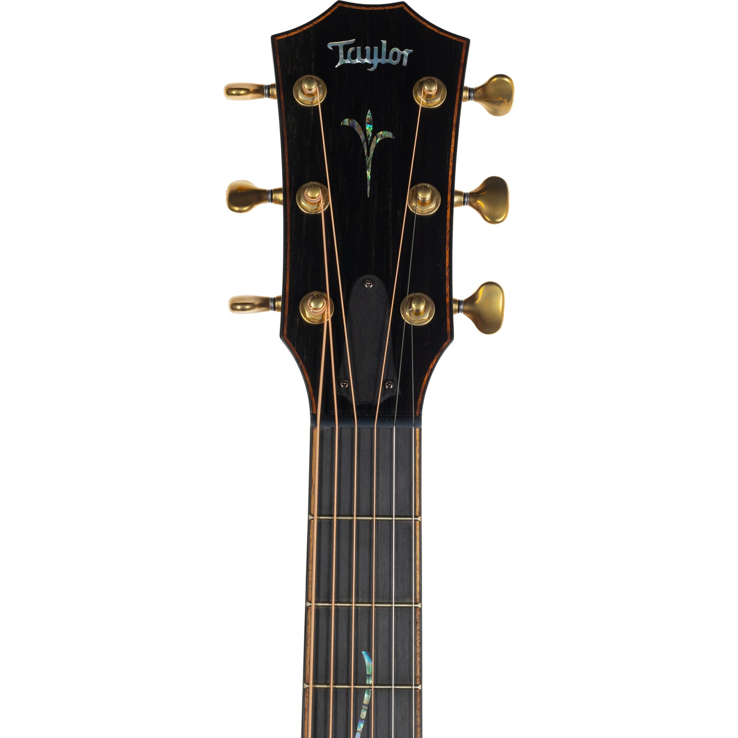 Taylor K24ce Builder’s Edition Grand Auditorium Acoustic Electric, Hawaiian Koa