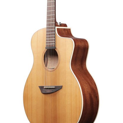 Ibanez PA230ENSL Acoustic Electric Guitar, Natural Satin