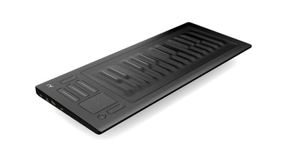 Roli Seaboard RISE 25-Key