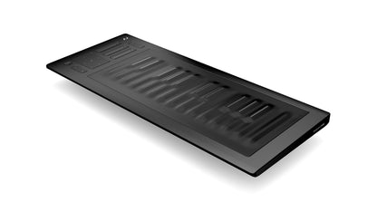 Roli Seaboard RISE 25-Key