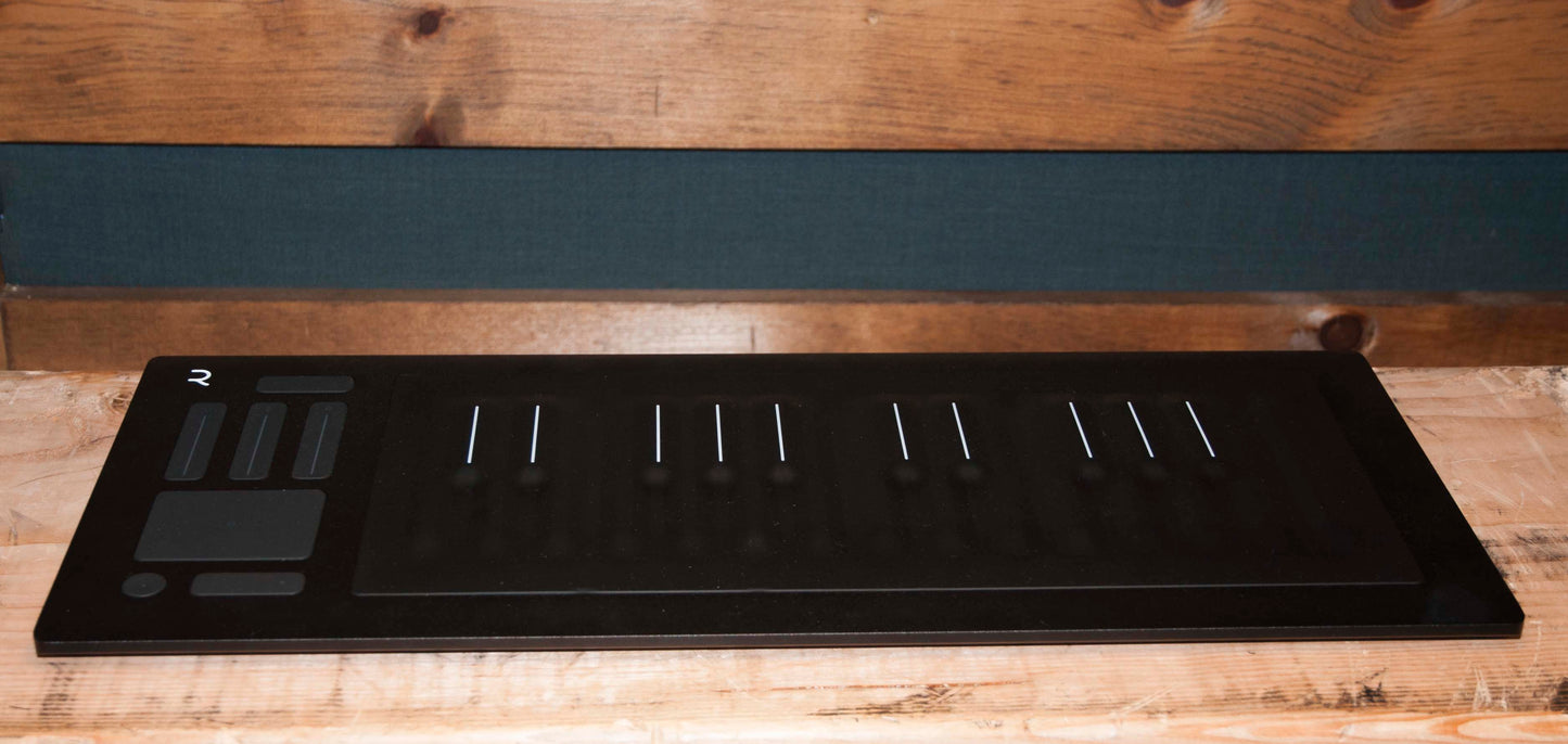 Roli Seaboard RISE 25-Key