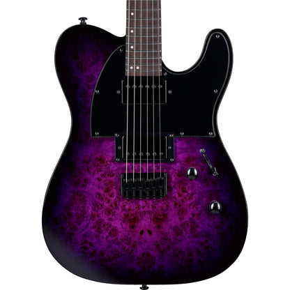 ESP LTD TE-200DX Electric Guitar, Purple Burst