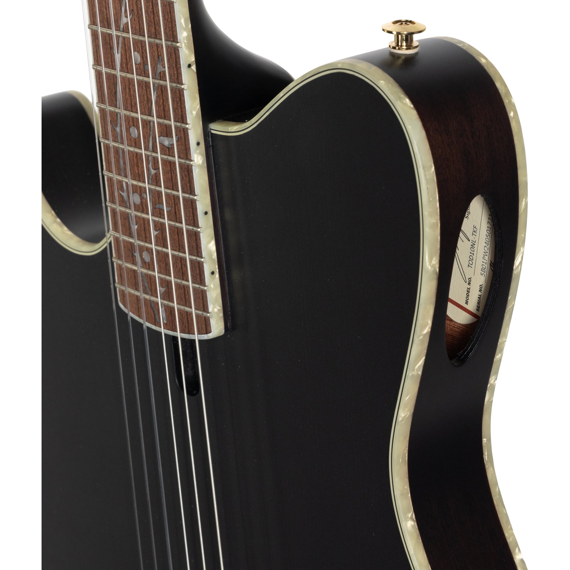 Ibanez TOD10N Left Handed Acoustic Electric Guitar - Transparent Black –  Alto Music