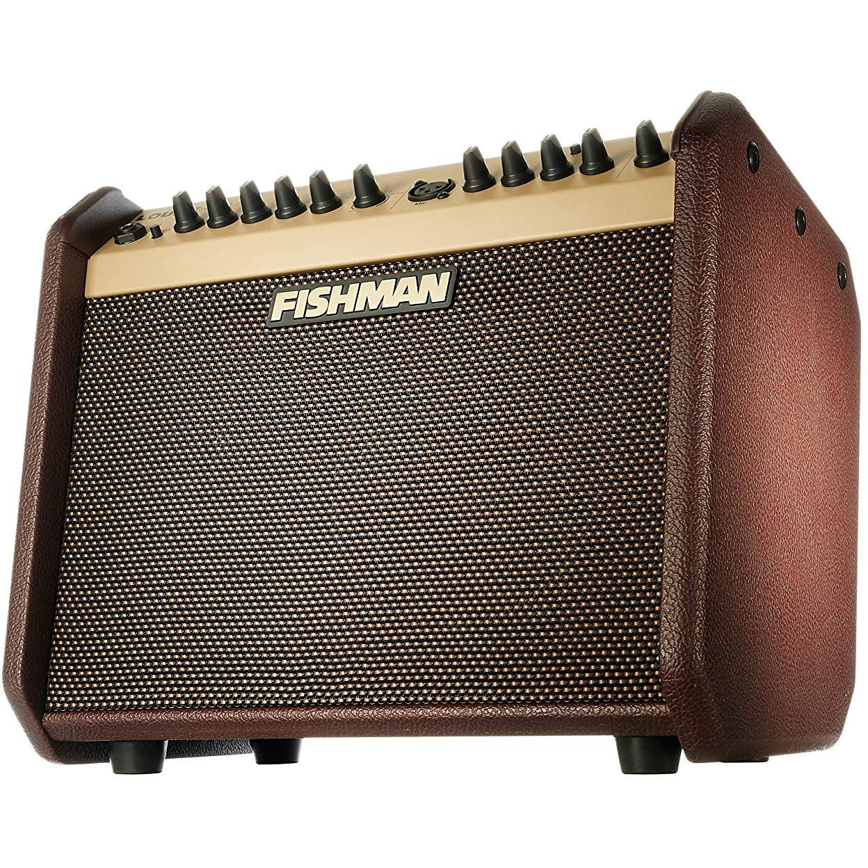 Fishman PRO-LBT-500 Loudbox Mini Acoustic Guitar Bluetooth