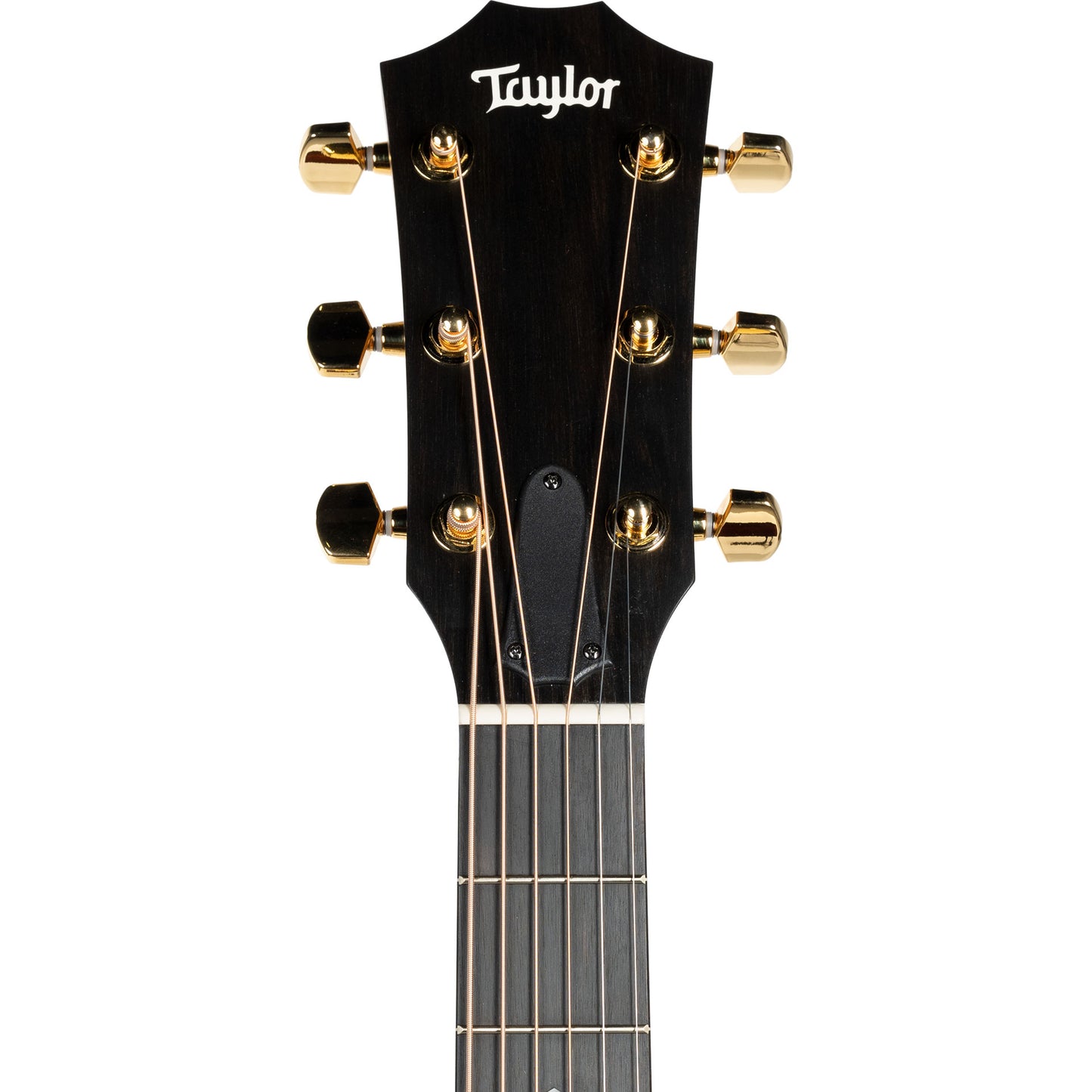 Taylor 224ce Koa Deluxe Grand Auditorium Acoustic Electric Guitar, Hawaiian Koa