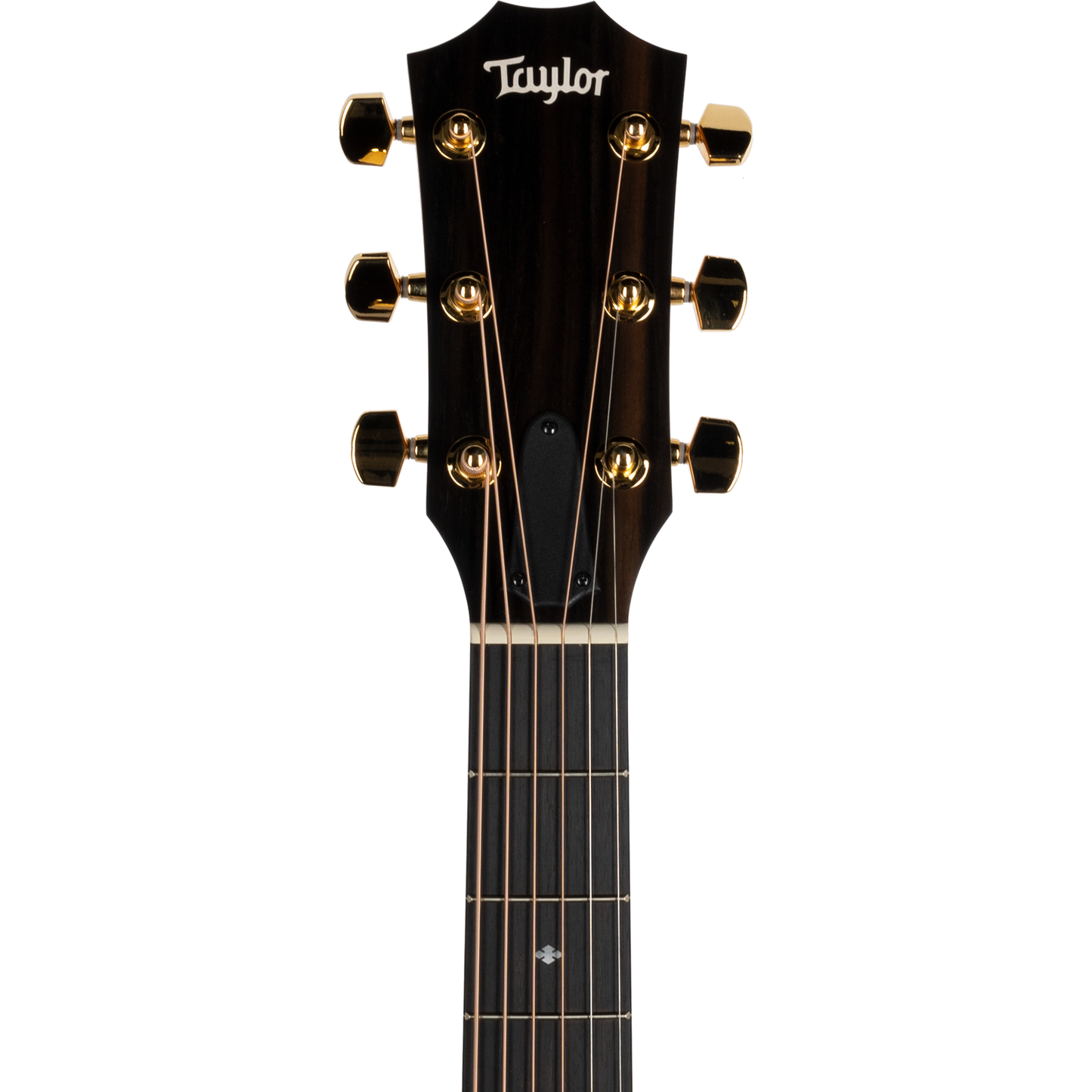 Taylor 224ce Koa Deluxe Grand Auditorium Acoustic Electric Guitar, Hawaiian Koa