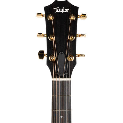 Taylor 224ce Koa Deluxe Grand Auditorium Acoustic Electric Guitar, Hawaiian Koa