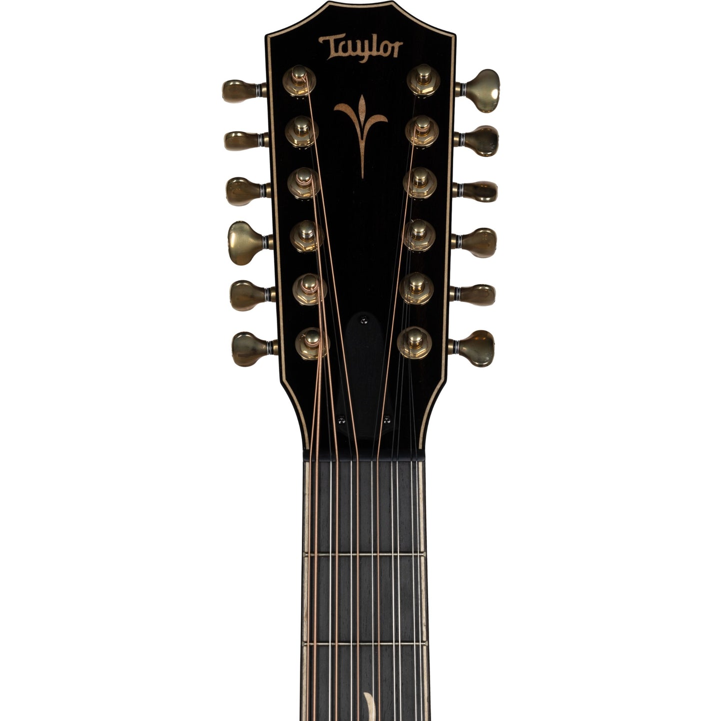 Taylor K68E LTD 12-String Koa Grand Orchestra Acoustic Electric Guitar