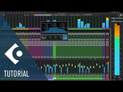 Steinberg Cubase Artist 13 DAW - Full Version (Download)